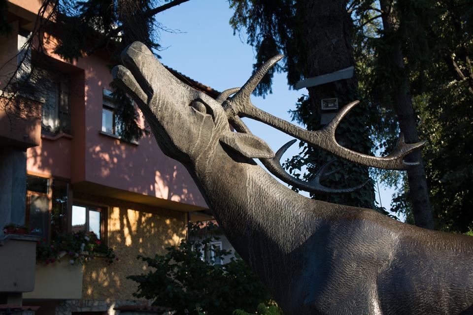 ולינגראד Guest House Elena מראה חיצוני תמונה